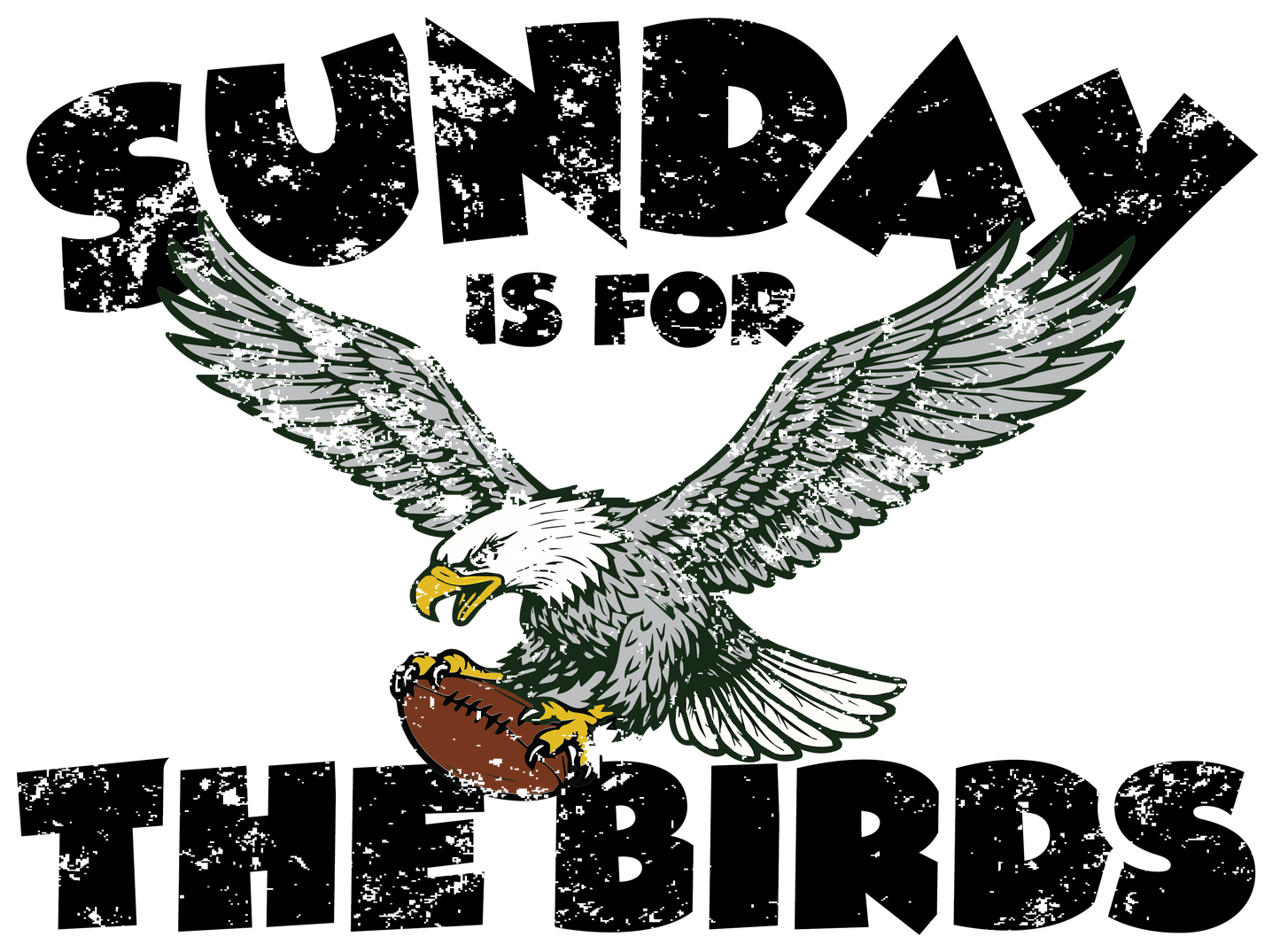 EAGLES LADIES SPECIAL EDITION HOODIE