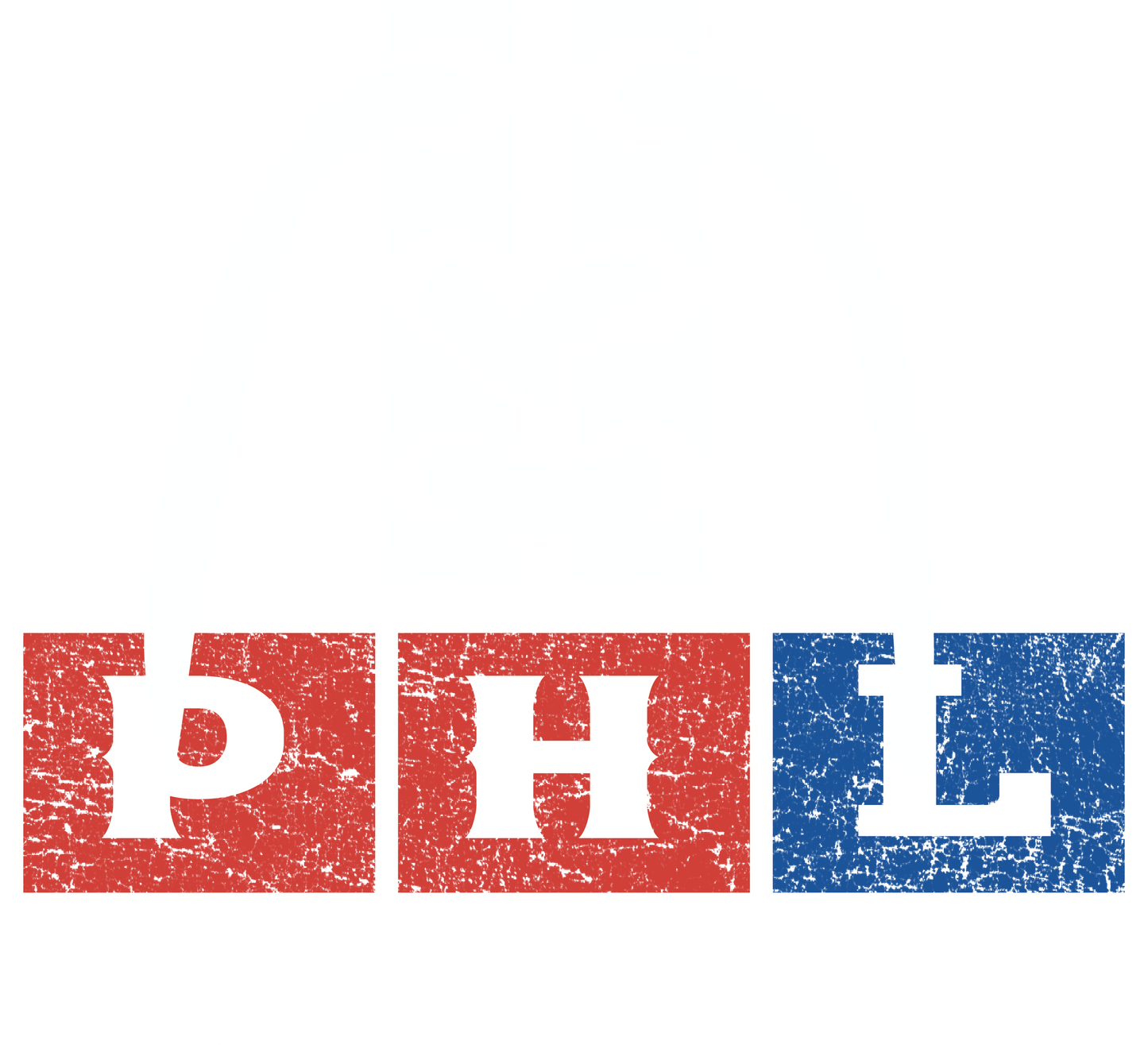 WE ARE HOCKEY HOODIE