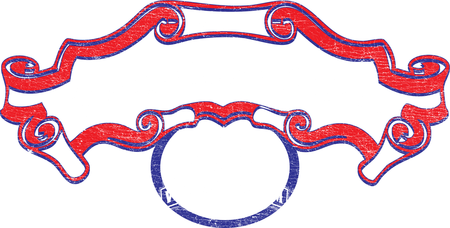 VINTAGE STADIUM SN TEE