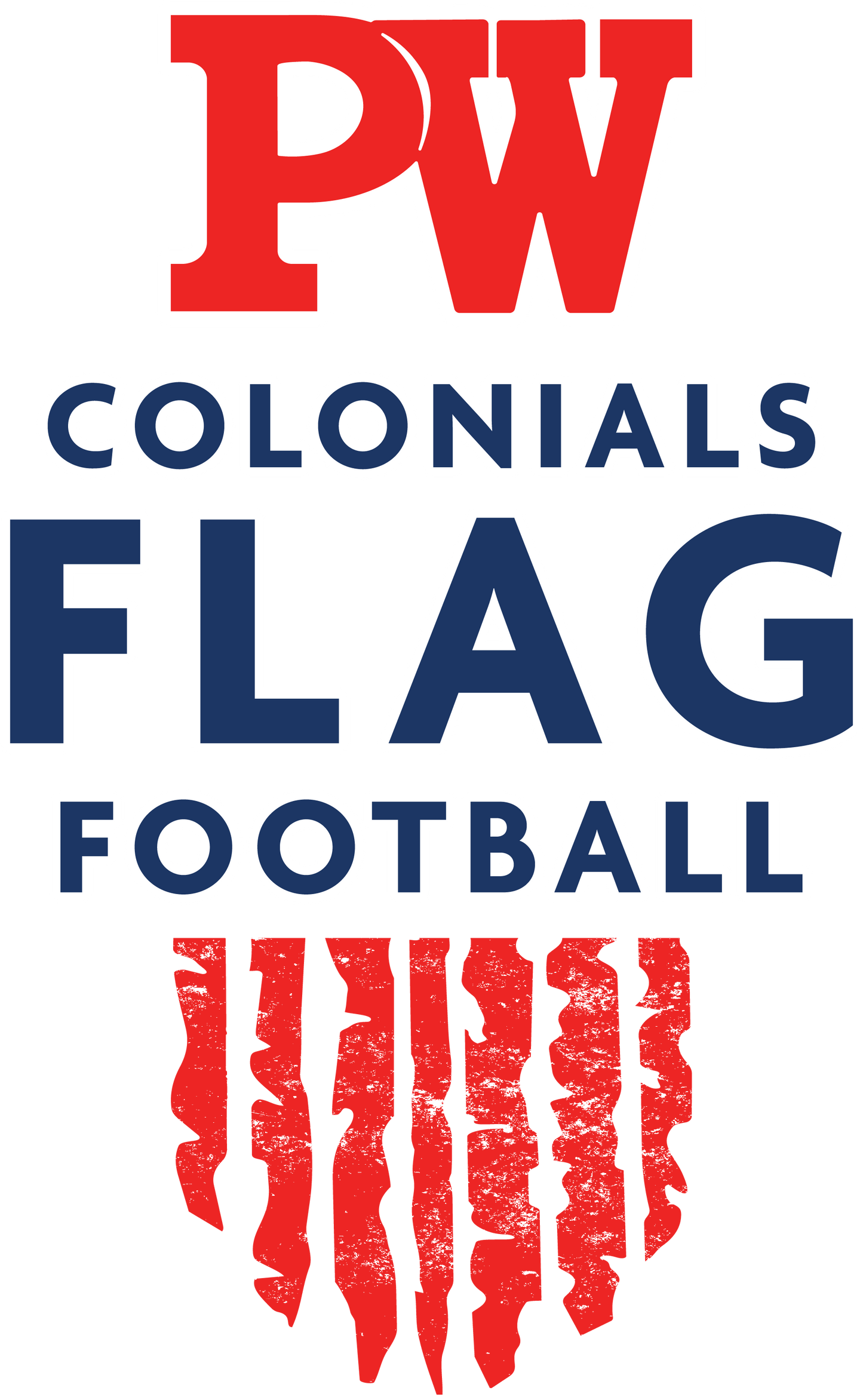 PWFLAG TEE